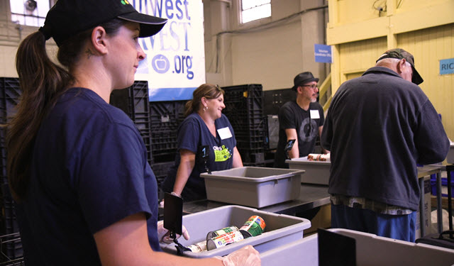 Employees volunteering