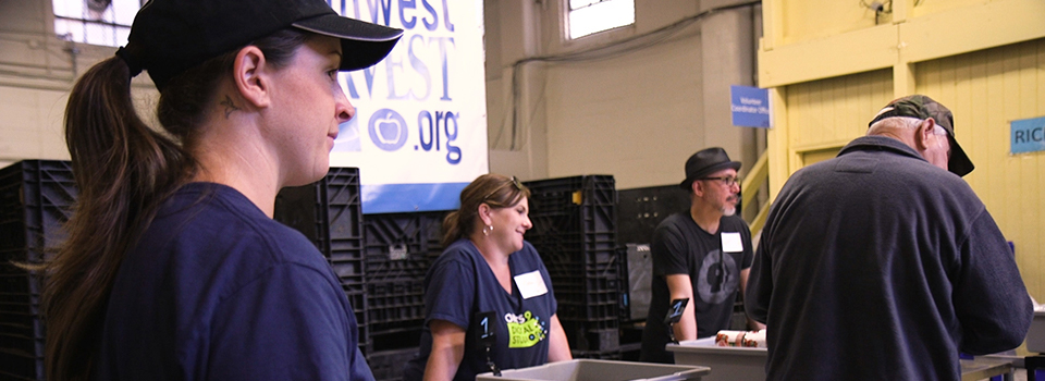 Culture and Values 960x350 Employees volunteering